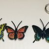 Samantha's Nature Paraphernalia Butterflies & Magnify Glass
