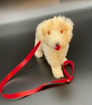 Bennett dog, brown and cream fur with hard body. red leash attached and red tongue sticking out