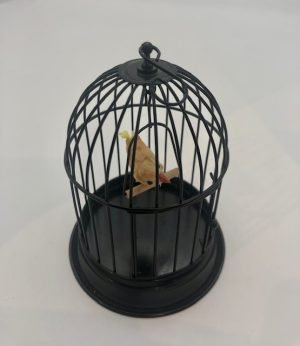 Addy's Birdcage