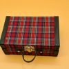 Molly's Plaid Suitcase Front