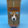 Kit's Crate Scooter & basset hound Grace