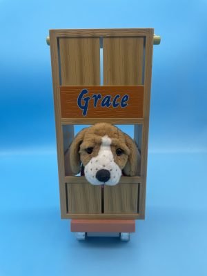 Kit's Crate Scooter & basset hound Grace